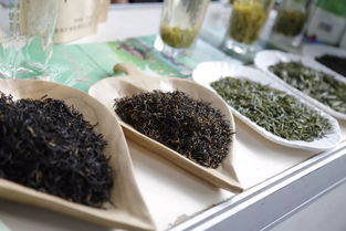 超贊！中山扶貧展銷會圓滿落幕，300余種特色農產品備受青睞，食用農產品初加工成焦點