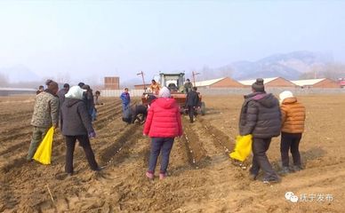 種地也能發財！撫寧人靠食用農產品初加工走穩致富路